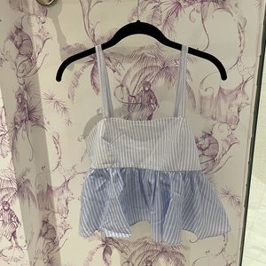 Zara crop top